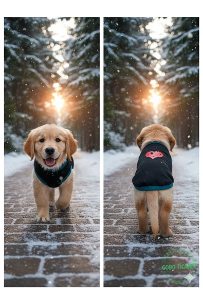 Gobo Love Desenli Kışlık Siyah Kedi Köpek Kıyafeti Elbisesi Medium/M/Beden 2 - Resim 4