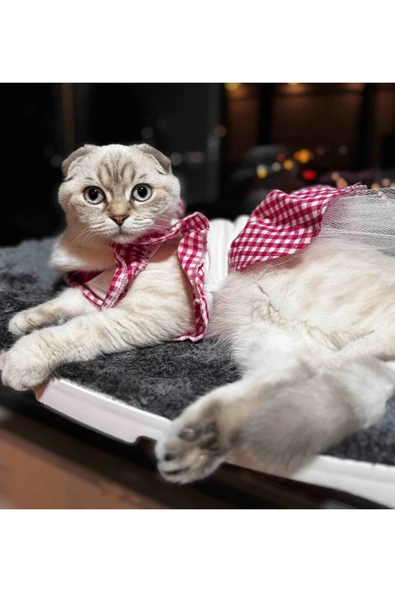 Gobo Pembe Kareli Papyonlu Dişi Kedi Köpek Kıyafeti Elbisesi Medium/M/Beden 2 - Resim 6