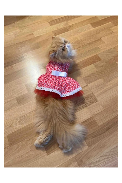Gobo Beyaz Çiçek Desenli Fiyonklu Kırmızı Kedi Köpek Kıyafeti Elbisesi XSmall/XS/Beden 0 - Resim 5