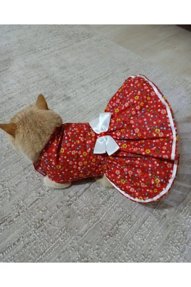 Gobo Rengarenk Çiçekli Kurdeleli Kedi ve Köpek Kıyafeti Elbisesi XLarge/XL/Beden 4 ürün görseli 1