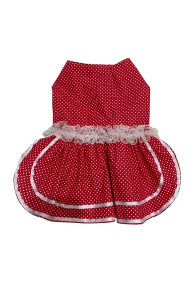 Gobo Beyaz Puantiyeli Kurdeleli Kırmızı Dişi Kedi Köpek Kıyafeti Elbisesi XLarge/XL/Beden 4 - Resim 6