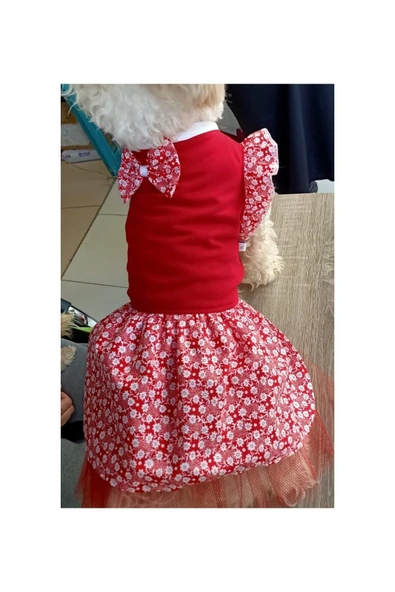 Gobo Çiçek Desenli Papyonlu Kırmızı Kedi Köpek Kıyafeti Elbisesi - Resim 3