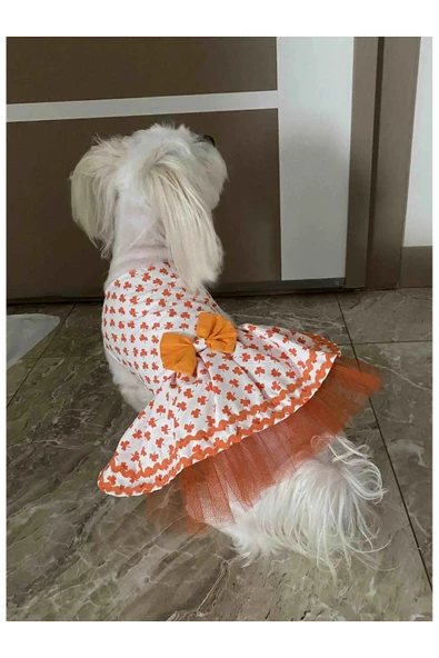 Gobo Turuncu Yaprak Desenli Papyonlu Beyaz Kedi Köpek Kıyafeti Elbisesi XLarge/XL/Beden 4 ürün görseli 1