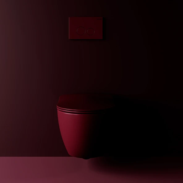 Terra Mat Berry Boyalı Kumanda Paneli - Resim 2