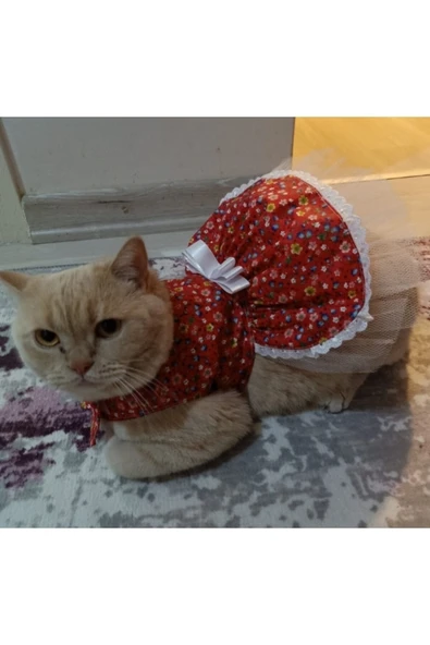 Gobo Rengarenk Çiçekli Fiyonklu Kedi ve Köpek Kıyafeti Elbisesi Small/S/Beden 1 - Resim 3