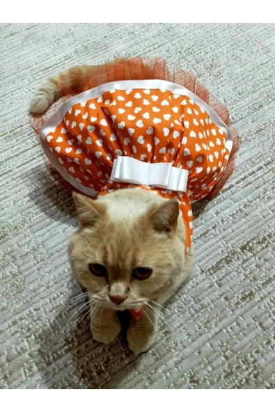 Gobo Beyaz Kalp Desenli Fiyonklu Turuncu Kedi Köpek Kıyafeti Elbisesi ürün görseli