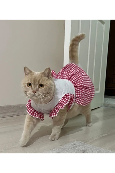 Gobo Pembe Kareli Papyonlu Dişi Kedi Köpek Kıyafeti Elbisesi Large/L/Beden 3 - Resim 5