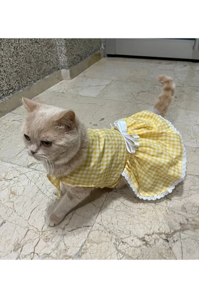 Gobo Sarı Beyaz Kareli Fiyonklu Kedi Köpek Kıyafeti Elbisesi Large/L/Beden 3 - Resim 3