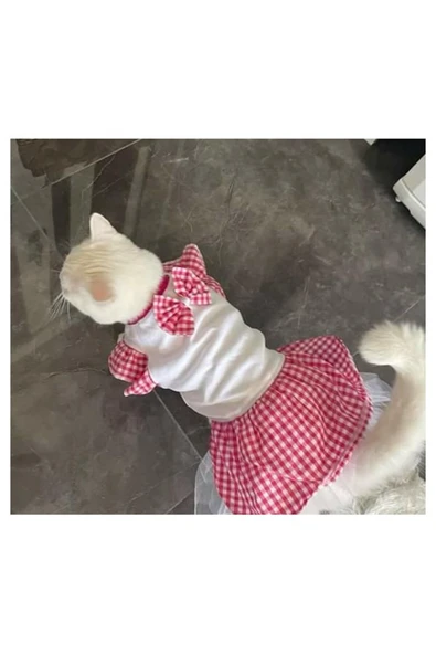 Gobo Pembe Kareli Papyonlu Dişi Kedi Köpek Kıyafeti Elbisesi XLarge/XL/Beden 4 - Resim 5