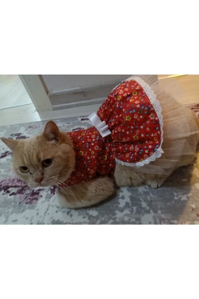 Gobo Rengarenk Çiçekli Fiyonklu Kedi ve Köpek Kıyafeti Elbisesi Small/S/Beden 1 - Resim 2