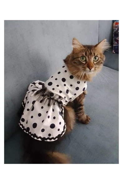 Gobo Siyah Puantiyeli Beyaz Dişi Kedi Köpek Kıyafeti Elbisesi - Resim 3