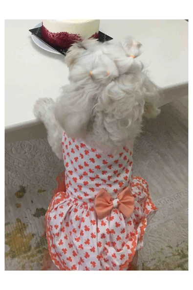 Gobo Turuncu Yaprak Desenli Papyonlu Beyaz Kedi Köpek Kıyafeti Elbisesi XLarge/XL/Beden 4 - Resim 3