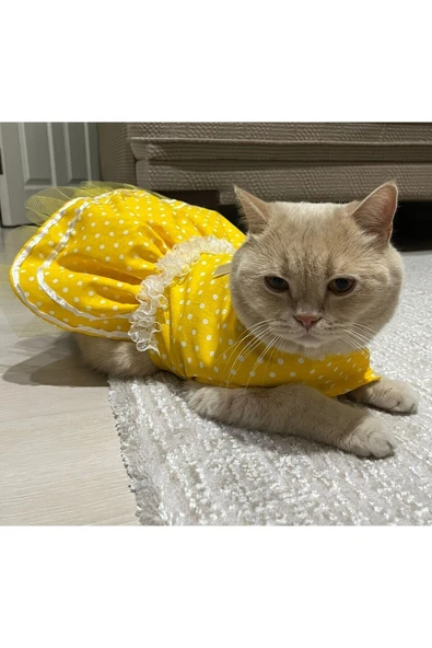 Gobo Sarı Puantiyeli Kurdeleli Kedi Köpek Kıyafeti Elbisesi XSmall/XS/Beden 0 - Resim 3