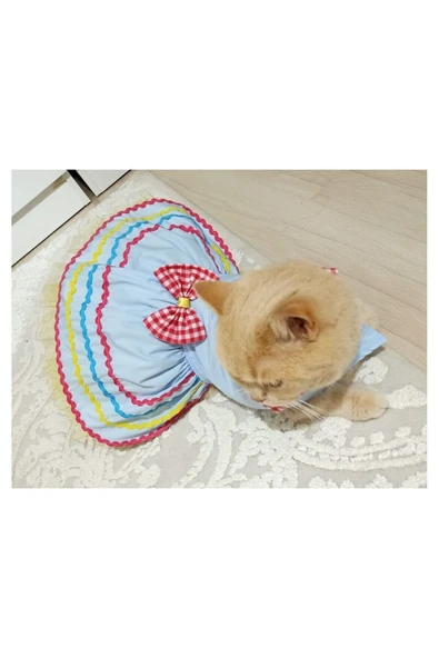 Gobo Rengarenk Festival Temalı Papyonlu Tüllü Kedi Köpek Kıyafeti Elbisesi Xlarge/xl/beden 4 - Resim 3