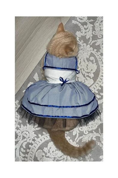 Gobo Denizci Mavi Kurdeleli Dişi Kedi Köpek Kıyafeti Elbisesi XLarge/XL/Beden 4 - Resim 3