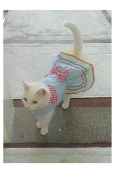 Gobo Rengarenk Festival Temalı Renkli Papyonlu Tüllü Kedi Köpek Kıyafeti Elbisesi - Resim 5