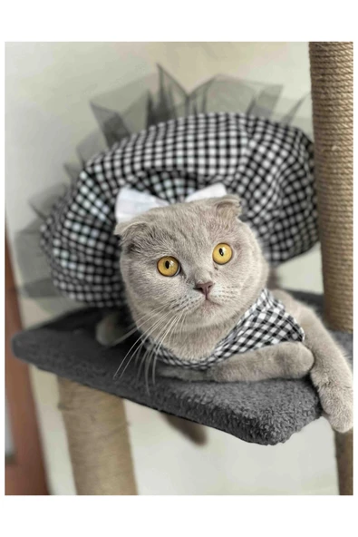 Gobo Beyaz Siyah Kareli Dişi Kedi Köpek Kıyafeti Elbisesi XSmall/XS/Beden 0 ürün görseli 1