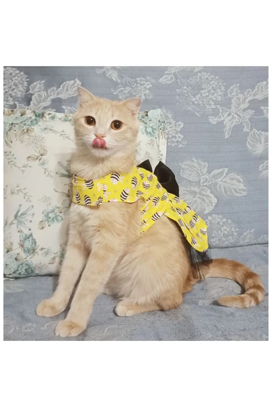 Gobo Arı Desenli Sarı Kedi Köpek Kıyafeti Elbisesi XSmall/XS/Beden 0 ürün görseli 1