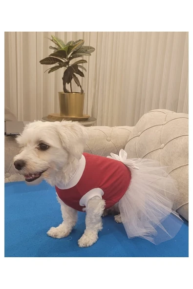 Gobo Beyaz Fiyonklu Tüllü Kırmızı Kedi Köpek Kıyafeti Elbisesi Medium/M/Beden 2 - 3