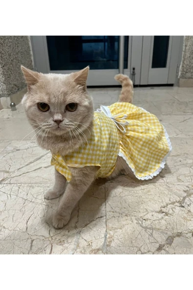 Gobo Sarı Beyaz Kareli Fiyonklu Cırtcırtlı Kedi Köpek Kıyafeti Elbisesi - Resim 2
