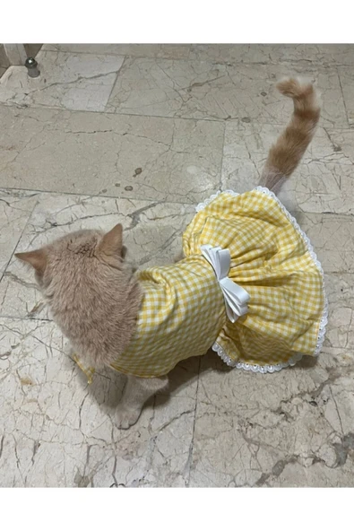 Gobo Sarı Beyaz Kareli Fiyonklu Kedi Köpek Kıyafeti Elbisesi XLarge/XL/Beden 4 - Resim 4