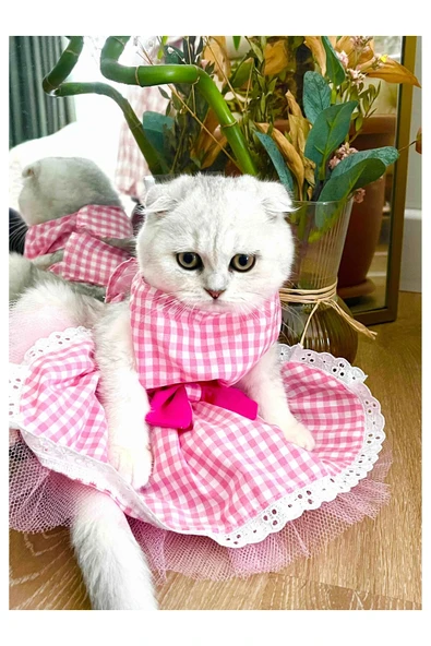Gobo Beyaz Kareli Pembe Dişi Kedi Köpek Kıyafeti Elbisesi XSmall/XS/Beden 0 - Resim 3