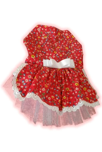 Gobo Rengarenk Çiçekli Fiyonklu Kedi ve Köpek Kıyafeti Elbisesi XSmall/XS/Beden 0 - Resim 5