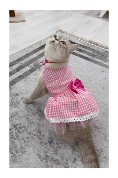Gobo Beyaz Kareli Pembe Dişi Kedi Köpek Kıyafeti Elbisesi XLarge/XL/Beden 4 ürün görseli 1