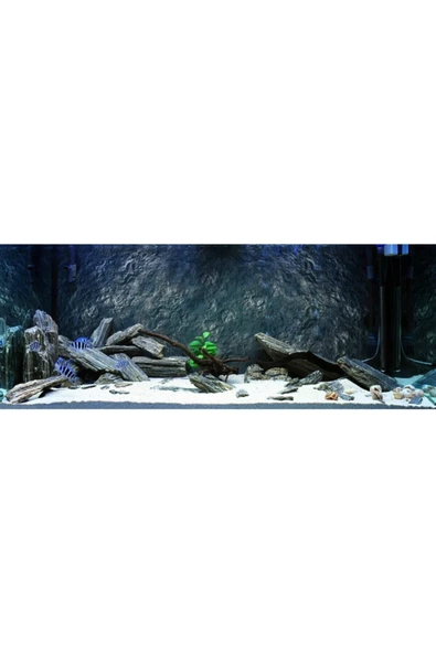 10 Kg Gnays Kaya Orijinal 1.kalite Doğal Dekoratif Simli Gnays - 3