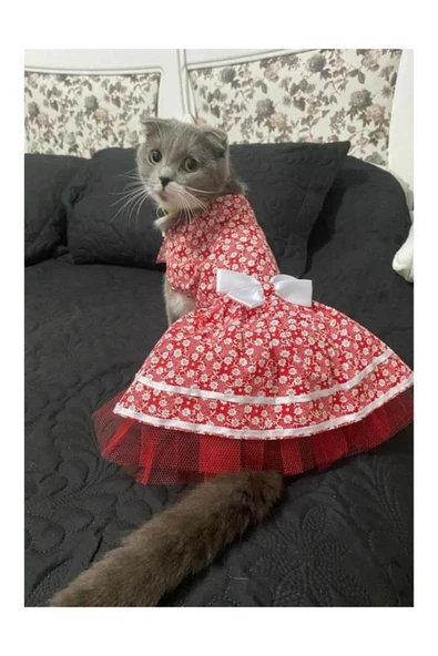 Gobo Beyaz Çiçek Desenli Kurdeleli Kırmızı Kedi Köpek Kıyafeti Elbisesi - Resim 2