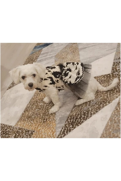 Gobo Siyah Beyaz Leopar Desenli Tüllü Kedi Köpek Kıyafeti Elbisesi XSmall/XS/Beden 0 - Resim 3