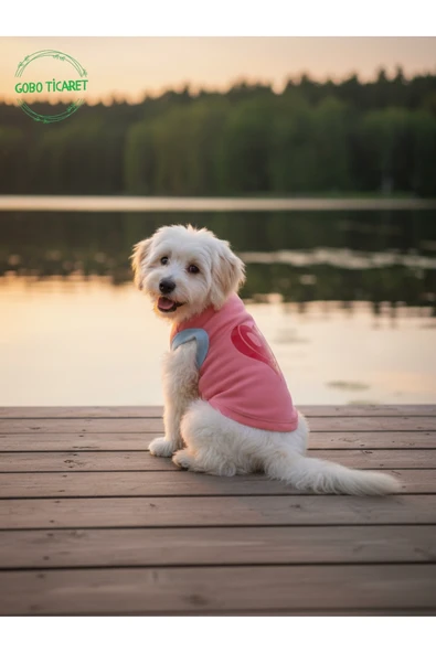 Gobo Şeker Pembe Renkli Kedi ve Köpek Kıyafeti Elbisesi Sarı Kedi Baskılı XSMALL/XS/Beden 0 ürün görseli 1