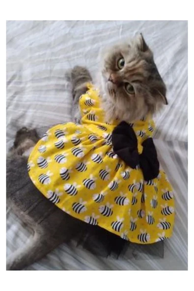 Gobo Arı Desenli Sarı Kedi Köpek Kıyafeti Elbisesi - Resim 4