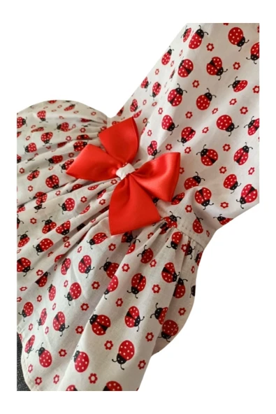 Gobo Uğur Böceği Desenli Kırmızı Kurdeleli Kedi ve Köpek Kıyafeti Elbisesi XLarge/XL/Beden 4 - Resim 4