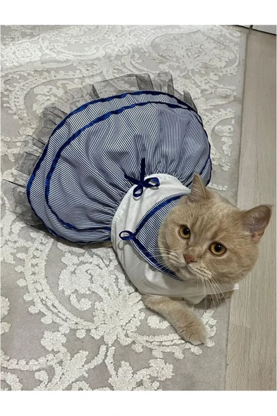 Gobo Denizci Mavi Kurdeleli Dişi Kedi Köpek Kıyafeti Elbisesi Medium/m/beden 2 - Resim 2