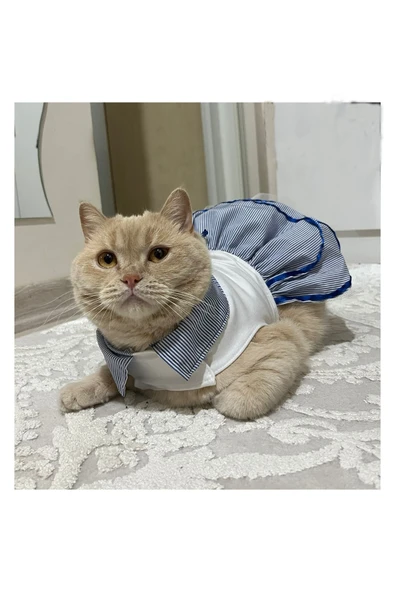 Gobo Denizci Mavi Yakalı Kurdeleli Dişi Kedi Köpek Kıyafeti Elbisesi Large/l/beden 3 ürün görseli 1