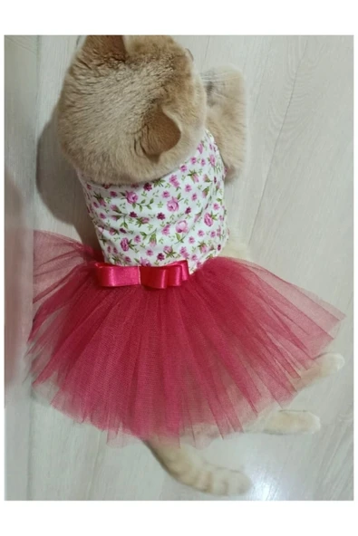 Gobo Pembe Çiçekli Kurdeleli Kırmızı Tüllü Beyaz Kedi ve Köpek Kıyafeti Elbisesi Large/L/Beden 3 - Resim 3