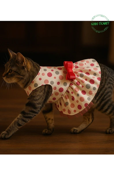 Gobo Şirin Puantiyeli Beyaz Kedi Köpek Kıyafeti Elbisesi Fuşya Fiyonklu Medium/M/Beden 2 - 4