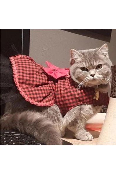 Gobo Kırmızı Siyah Kareli Papyonlu Dişi Kedi Köpek Kıyafeti Elbisesi XSmall/XS/Beden 0 ürün görseli 1