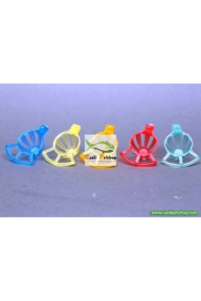 TROPİKAL Kuşlar Için 4 Cm Yumurtalık 1 Adet