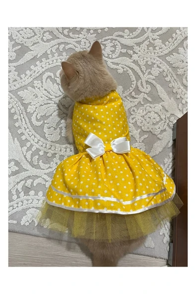 Gobo Sarı Puantiyeli Papyonlu Kedi Köpek Kıyafeti Elbisesi - Resim 6