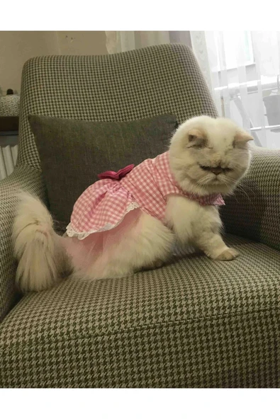 Gobo Beyaz Kareli Pembe Dişi Kedi Köpek Kıyafeti Elbisesi - 5
