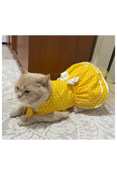Gobo Sarı Puantiyeli Papyonlu Kedi Köpek Kıyafeti Elbisesi - Resim 4
