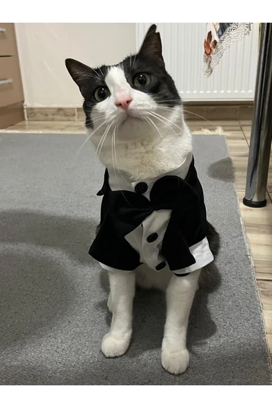 Gobo Siyah Papyonlu Smokin Damatlık Kedi Ve Köpek Elbisesi Kıyafeti Takım Elbise Medium/m/beden 2 ürün görseli
