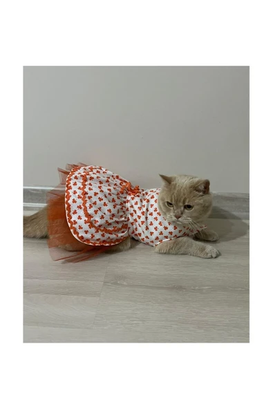 Gobo Turuncu Yaprak Desenli Kurdeleli Beyaz Kedi Köpek Kıyafeti Elbisesi - Resim 2