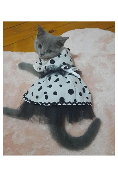 Gobo Siyah Puantiyeli Beyaz Dişi Kedi Köpek Kıyafeti Elbisesi - Resim 4