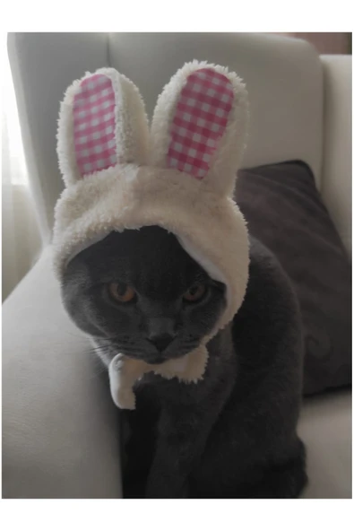 Gobo Peluş Tavşan Kulaklı Sütlü Kahve Kedi Köpek Şapkası Yumuşacık Kedi Köpek Kıyafeti - 4