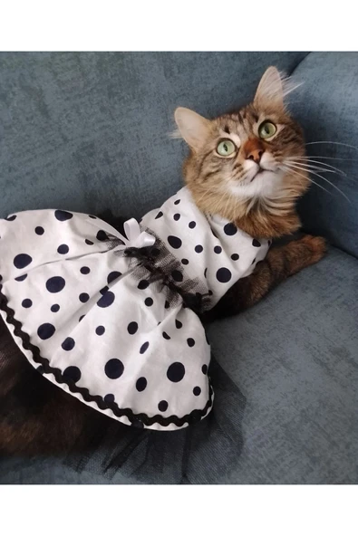 Gobo Siyah Puantiyeli Beyaz Dişi Kedi Köpek Kıyafeti Elbisesi ürün görseli 1