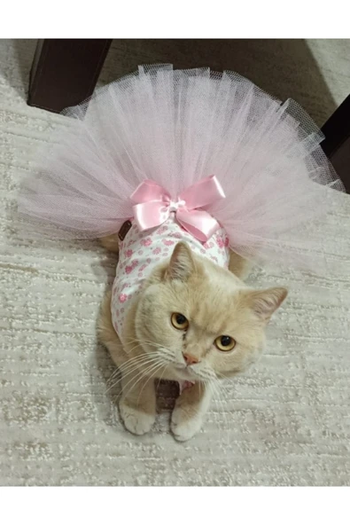 Gobo Pembe Çiçekli Fiyonklu Beyaz Kedi/köpek Elbisesi Small/s/beden 1 ürün görseli 1