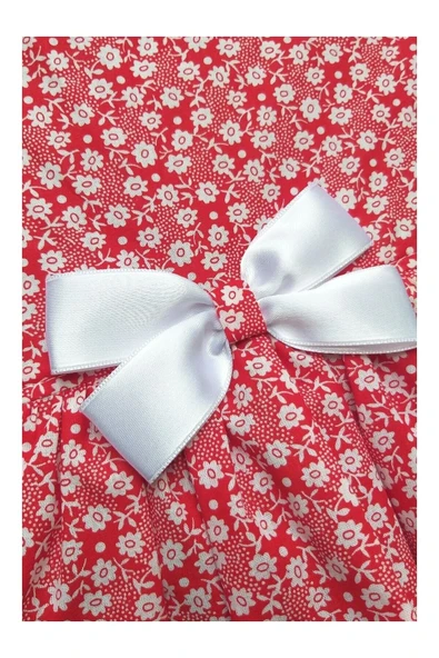 Gobo Beyaz Çiçek Desenli Kurdeleli Kırmızı Kedi Köpek Kıyafeti Elbisesi - Resim 5